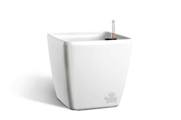 Саксия Quadrato 22