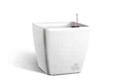 Саксия Quadrato 22