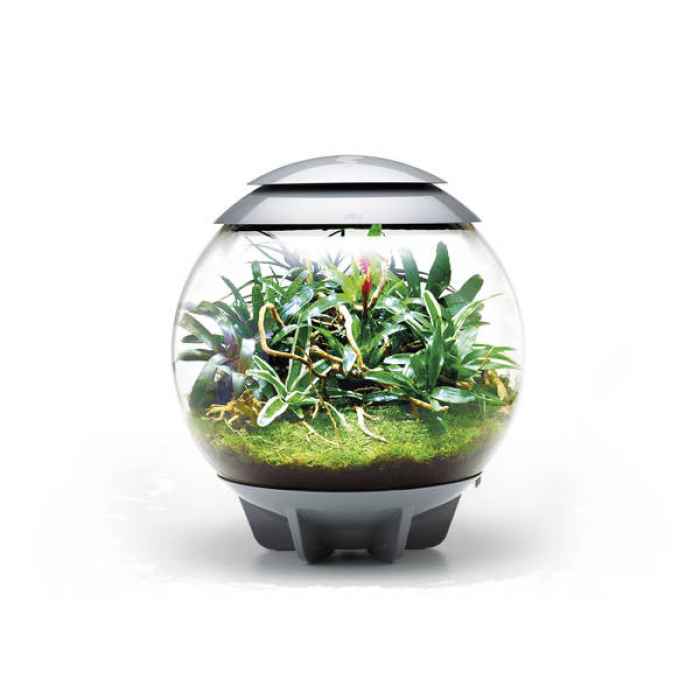 Терариум BiOrb AIR - 60 литра-10txI.jpeg
