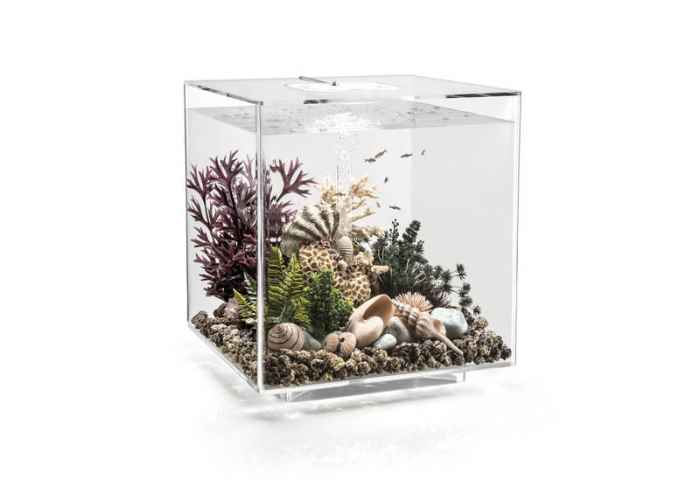 Аквариум BiOrb CUBE - 30 литра-1Sewx.jpeg