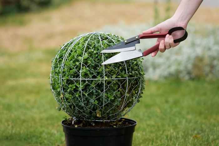 Ножици за оформяне на храсти-2T7qh.jpeg