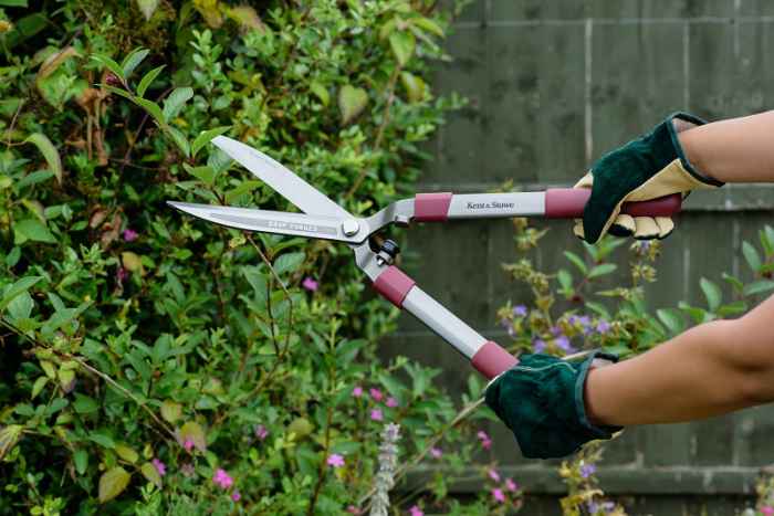 Кована ножица за жив плет-36A8z.jpeg