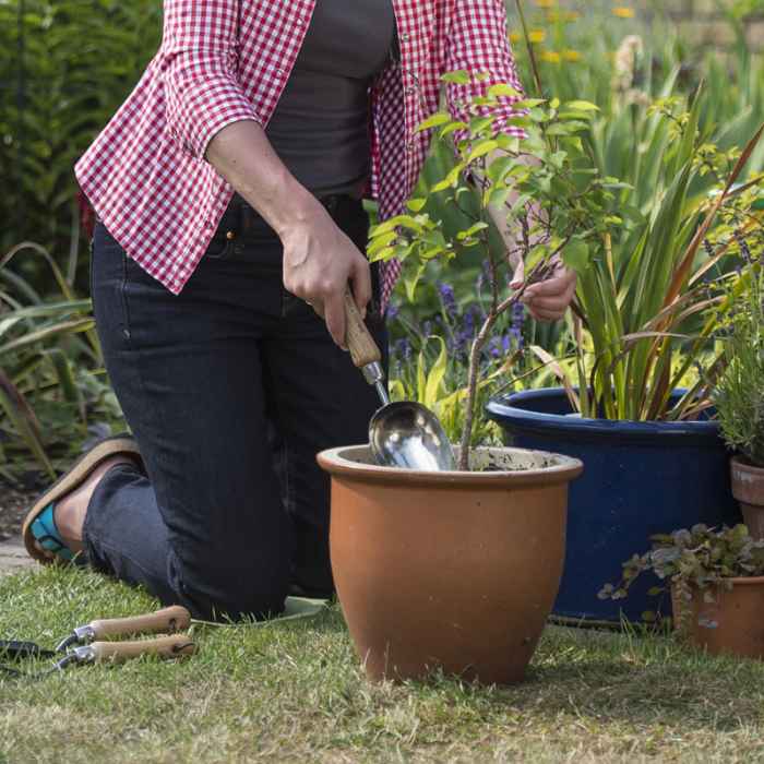 Градинска ръчна лопатка Kent&Stowe-4Gz1R.jpeg