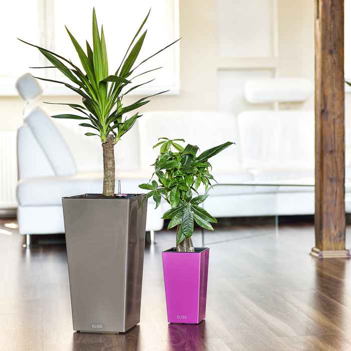 Саксия ELISE matt 20-5viT3.jpeg