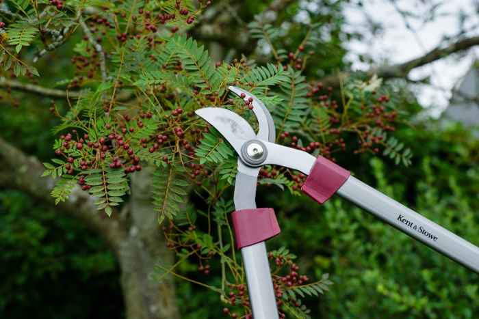 Ножица за клони Kent&Stowe-66hzG.jpeg