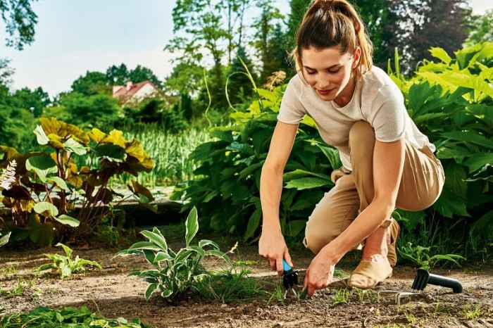 Малка градинска ръчна вилица ERGO™-7N7fD.jpeg