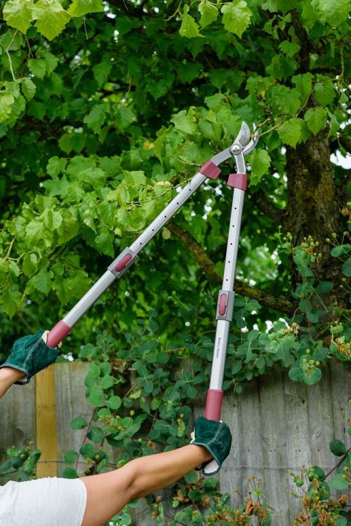 Телескопична ножица за клони Kent&Stowe-8KYAQ.jpeg