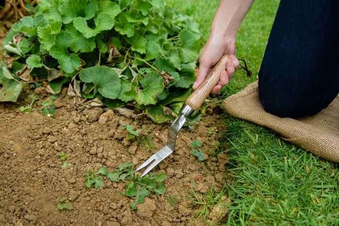 Вилица за плевене Kent&Stowe 300 мм.-9jQQg.jpeg