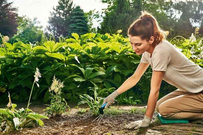 Малък градински ръчен култиватор ERGO™-AgyYj.jpeg