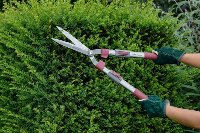 Телескопична ножица за жив плет Kent&Stowe-ChBb0.jpeg