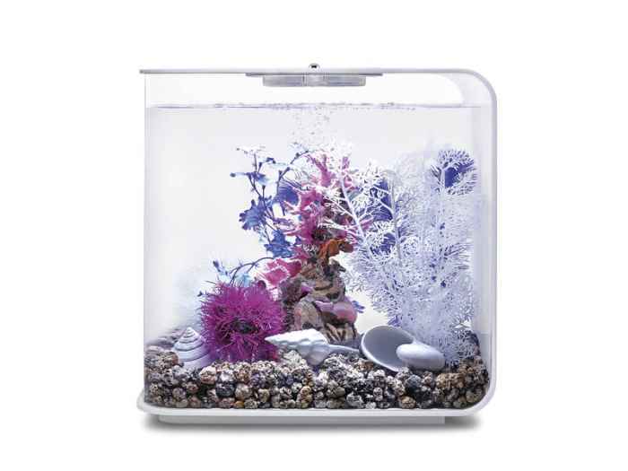 Комплект за декорация BiOrb Pink Ocean-CxDvO.jpeg