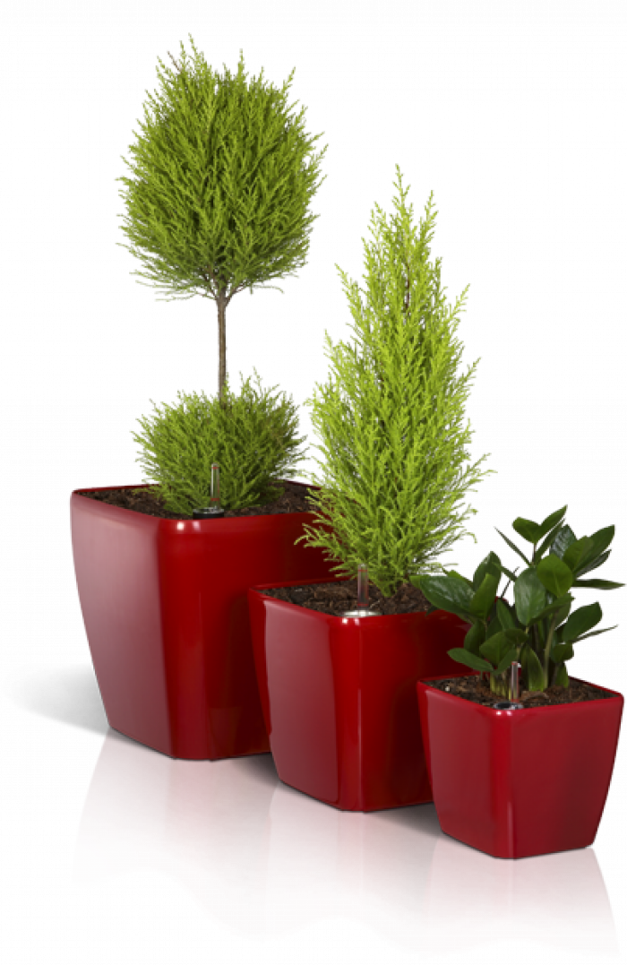 Саксия Quadrato 34-Ds5Ui.png