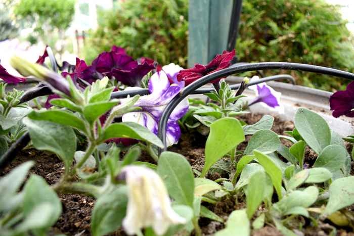 Комплект за автоматично напояване на саксии 15-ENLIB.jpeg