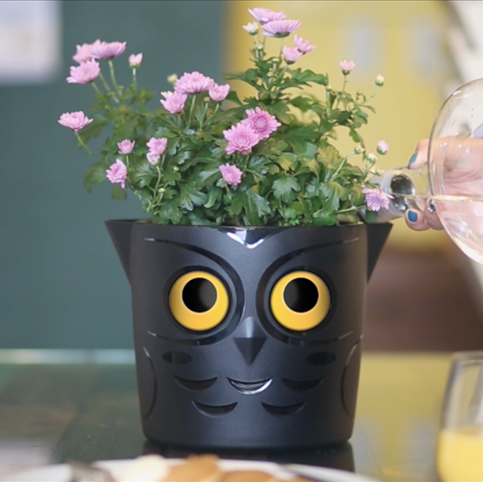 Саксия с кашпа Hydro Pot Бухал-EOtbZ.png