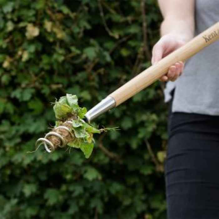 Инструмент за плевене тип тирбушон - дълга дръжка-EuYcm.jpeg