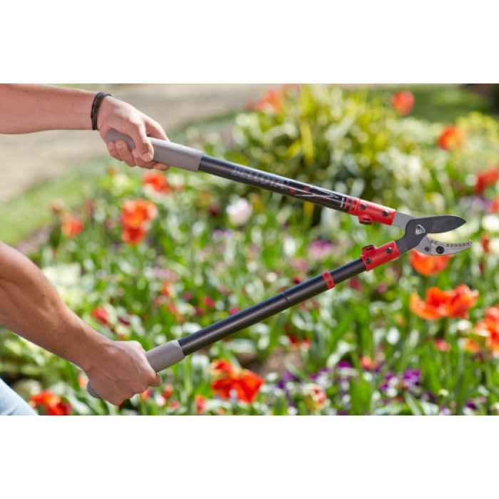 Ножица с телескопична дръжка-FVU2f.jpeg