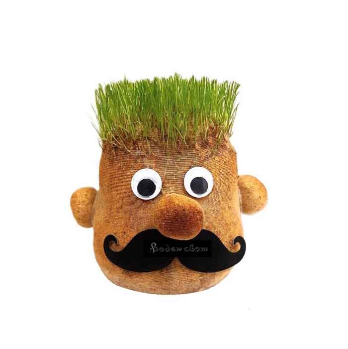 ЧИЧКО ТРЕВИЧКО-Fp6YO.jpeg