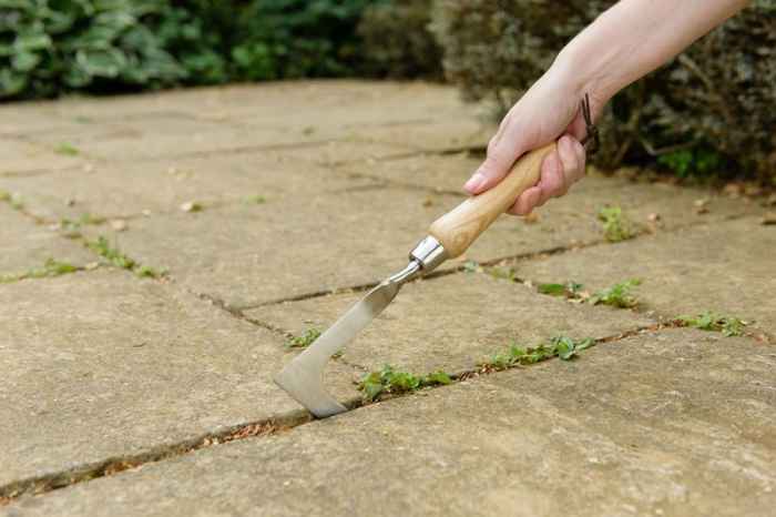 Нож за плевене - неръждаема стомана-H0DlW.jpeg