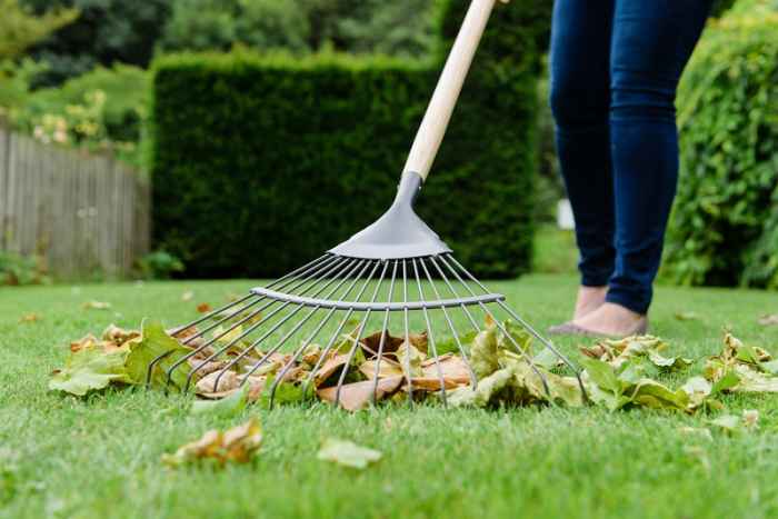 Търмък за листа Kent&Stowe 1700 мм.-IyVpR.jpeg