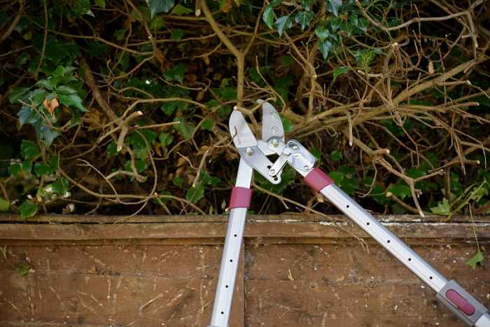 Телескопична ножица за клони Kent&Stowe-JNbmH.jpeg