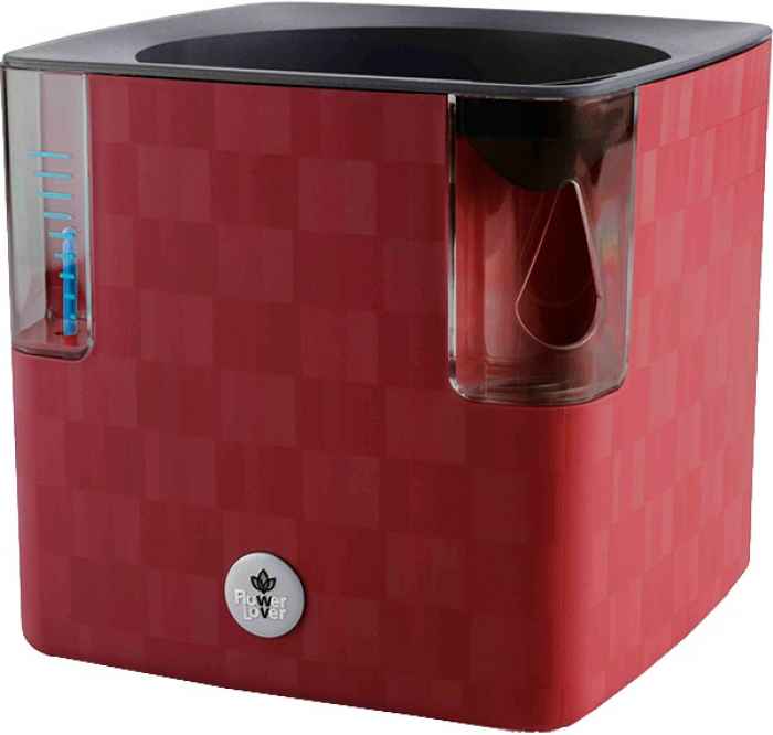 Саксия Cobble 14-JPvsz.jpeg