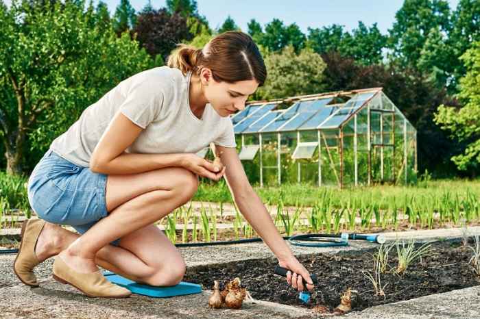 Подложка за колена-JSIol.jpeg