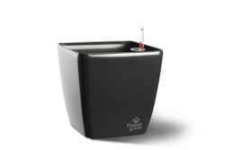 Саксия Quadrato 34