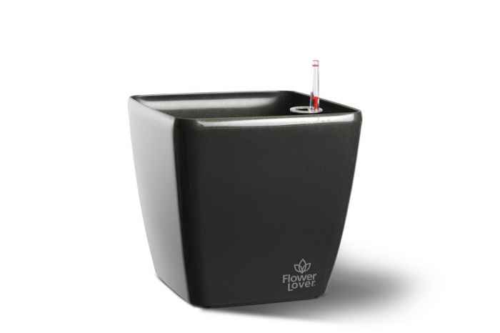 Саксия Quadrato 34-K0HQ7.jpeg