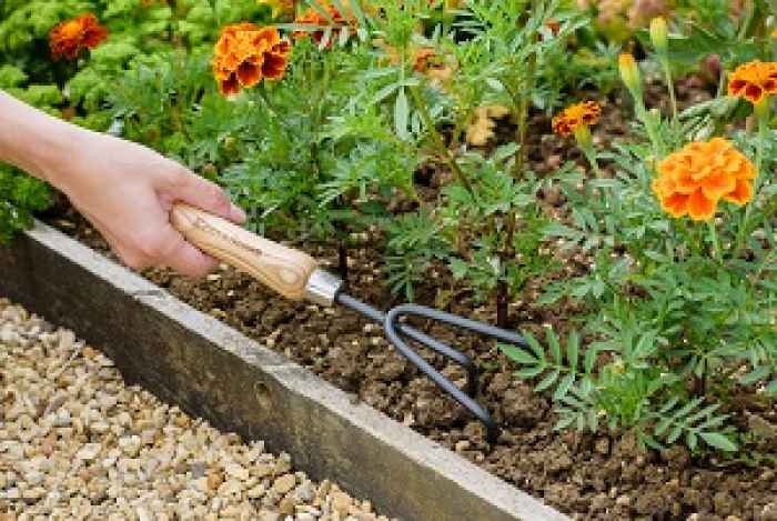 Градински ръчен култиватор Kent&Stowe-LDGgM.jpeg