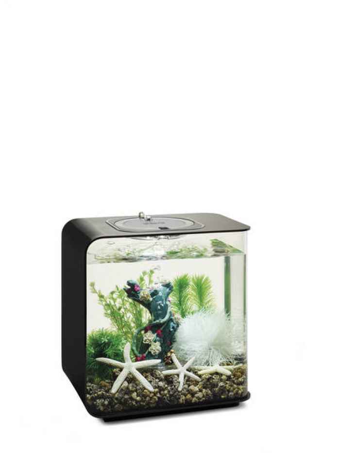 Комплект за декорация BiOrb Flower Garden-LMGMG.jpeg