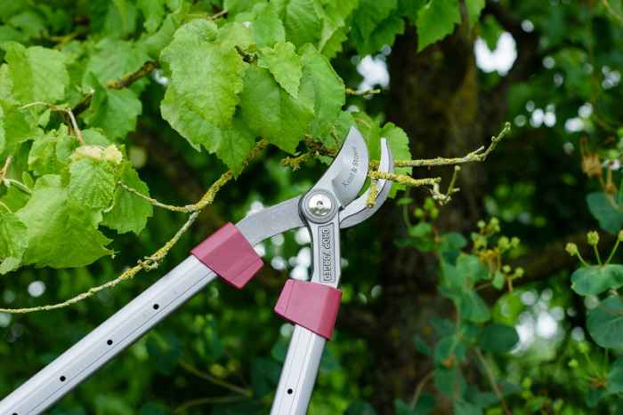 Телескопична ножица за клони Kent&Stowe-M1BWM.jpeg