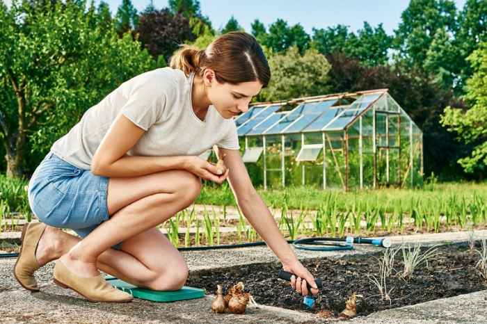 Малко ръчно садило ERGO™-MAojL.jpeg