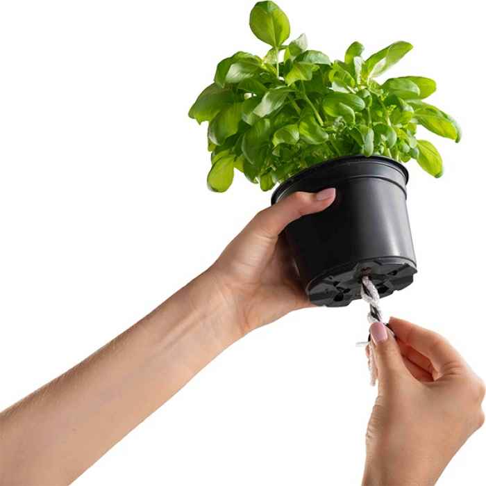 Саксия Cobble 14-N5acf.jpeg