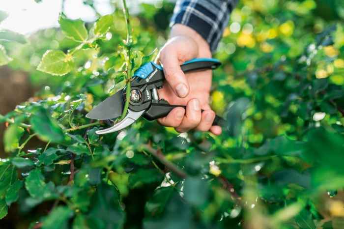 Лозарска ножица ERGO™-OIylb.jpeg