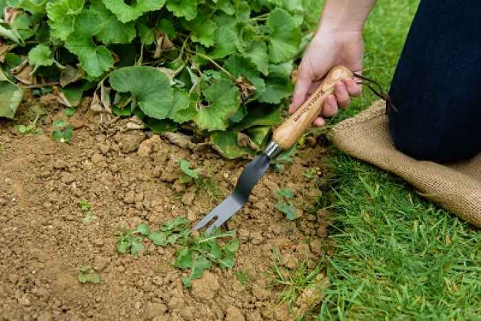 Вилица за плевене от въглеродна стомана-P1kJ9.jpeg