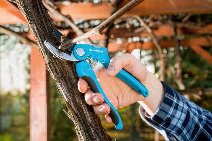 Овощарска ножица IDEAL™-PSD2P.jpeg