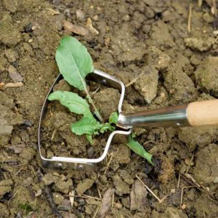 Самозаточваща се мотика Kent&Stowe-TrZu2.jpeg