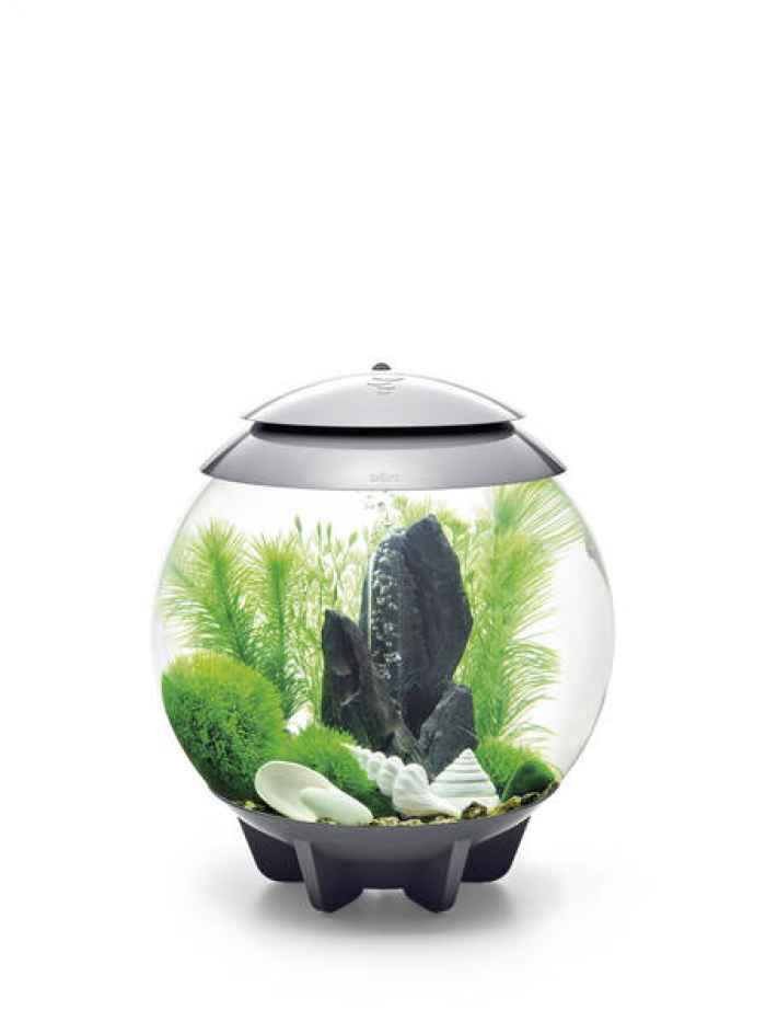 Комплект за декорация BiOrb Stone Garden-UvoQP.jpeg