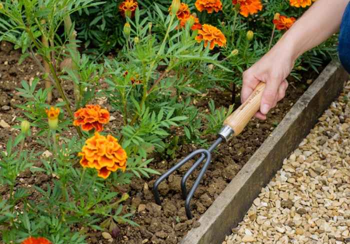 Градински ръчен култиватор Kent&Stowe-ZHwxY.jpeg