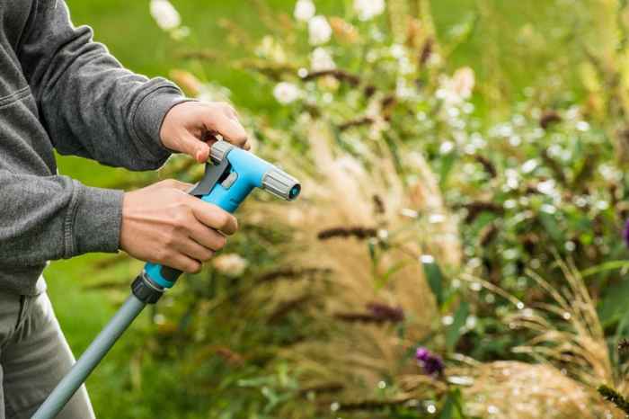 Пистолет HYDRON IDEAL™-ZhOin.jpeg