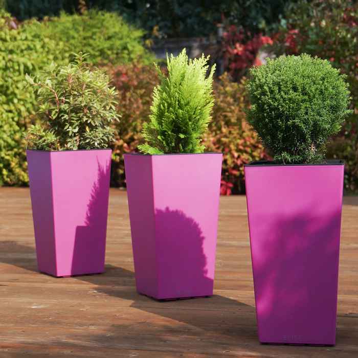 Саксия ELISE matt 20-Zx0PS.jpeg