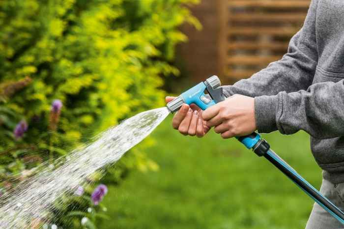 Пистолет HYDRON IDEAL™-aWjVS.jpeg