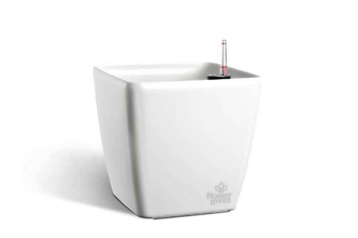 Саксия Quadrato 18-bNxVO.jpeg