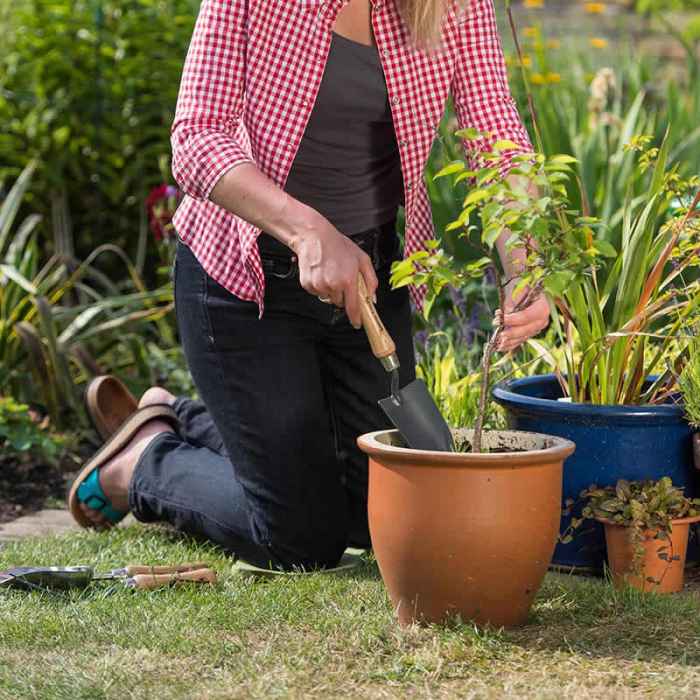 Градинска ръчна мистрия Kent&Stowe-dKlTr.jpeg