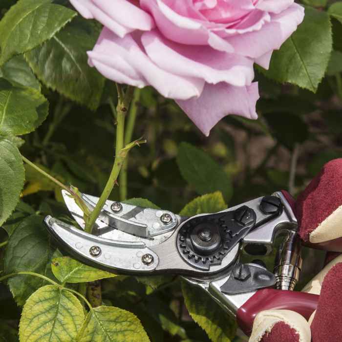 Градинарска ножица тип наковалня-dadAV.jpeg
