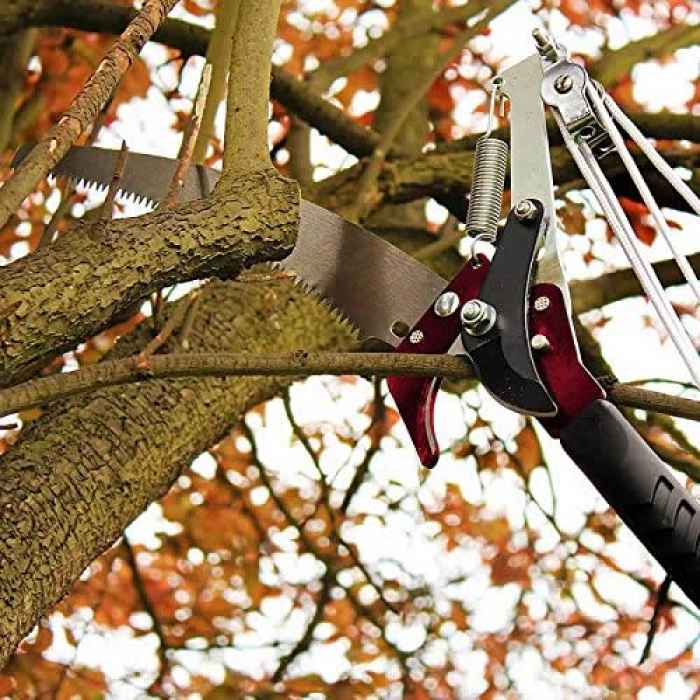 Телескопична ножица за клони-eDNaE.jpeg