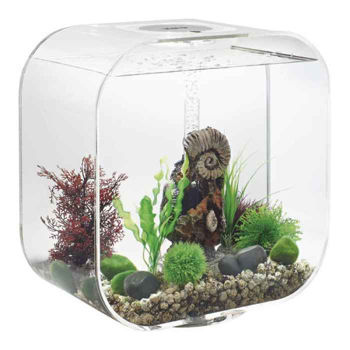 Аквариум BiOrb LIFE - 30 литра-evoBT.jpeg