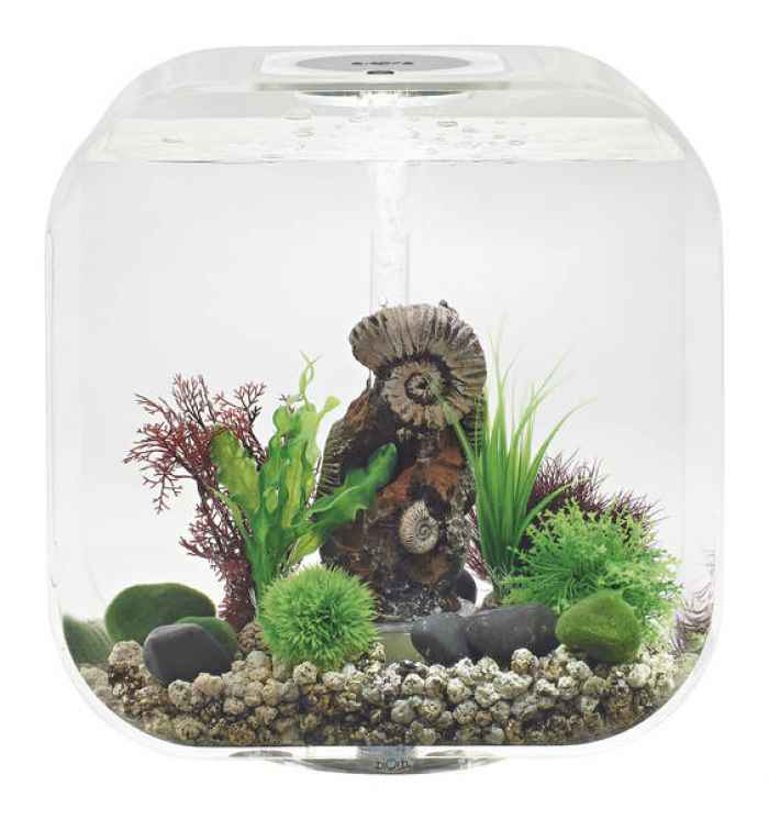 Аквариум BiOrb LIFE - 30 литра-fXX22.jpeg