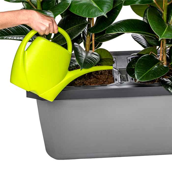 Голяма саксия с напоителна система Largo Trio за 3 самостоятелни растения-fYzRT.jpeg