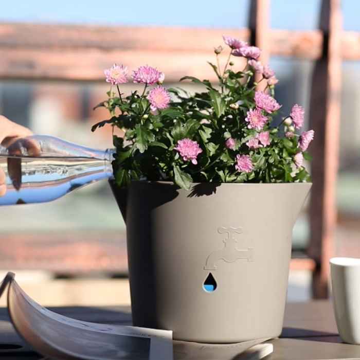 Саксия с кашпа HydroPot Канелка-fs1FE.jpeg